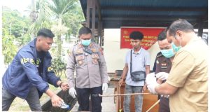 Polres Nabire Musnahkan 52 Gram Ganja, AKBP Samuel Tegaskan Akan Berantas Peredaran Narkotika