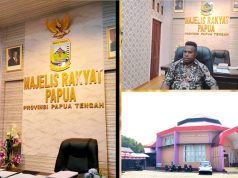 Ketua MRP Papua Tengah Sentil DPR Papua Tengah: Stop Saling Serang, Fokus Bangun Daerah